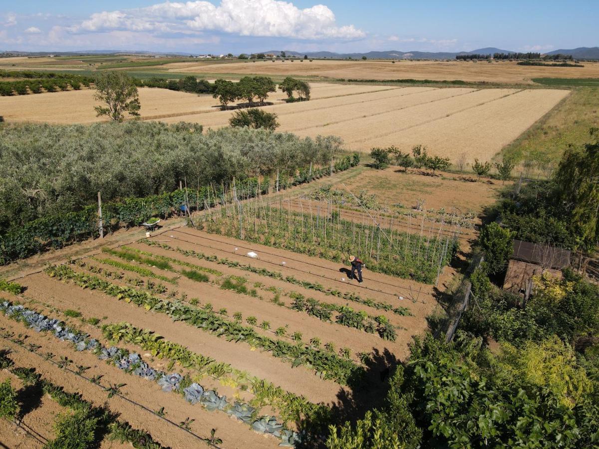 Farm stay Le Mandriane Albinia