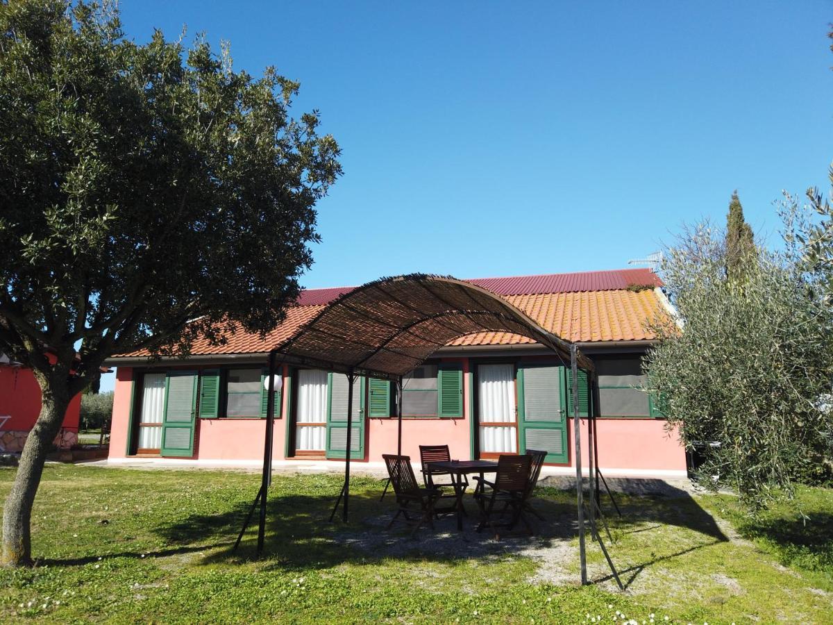 Le Mandriane