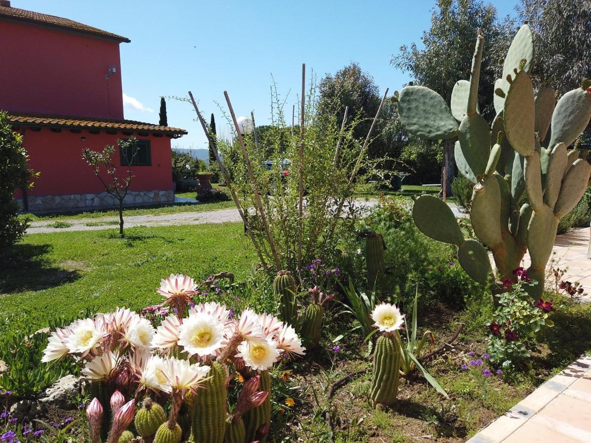 Le Mandriane Alloggio per agriturismo
