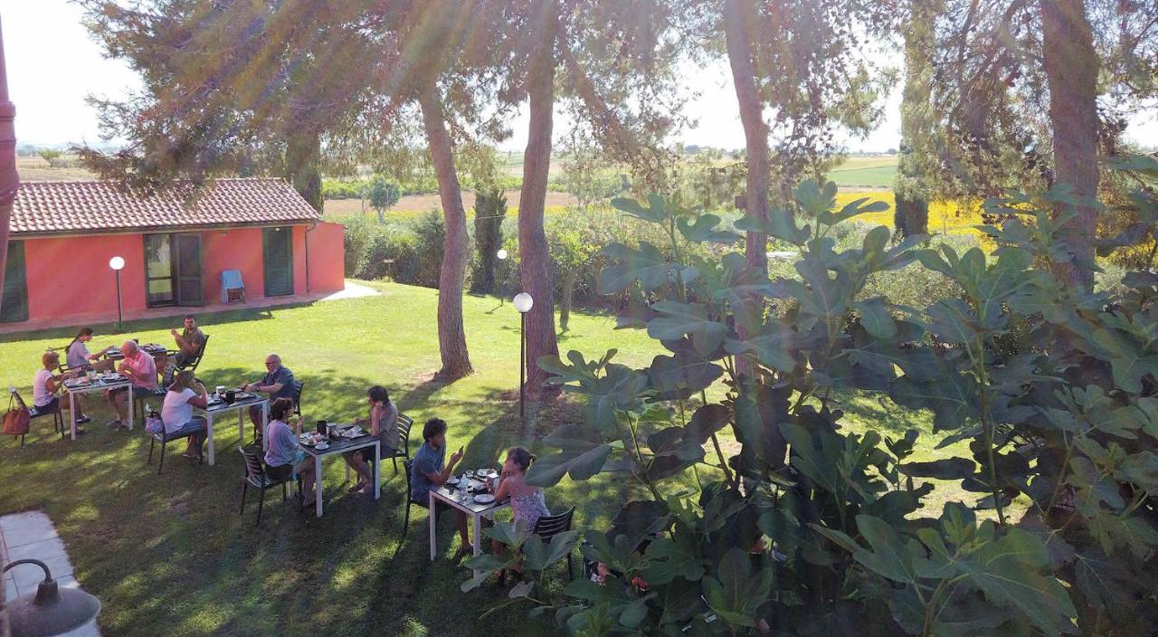 Le Mandriane