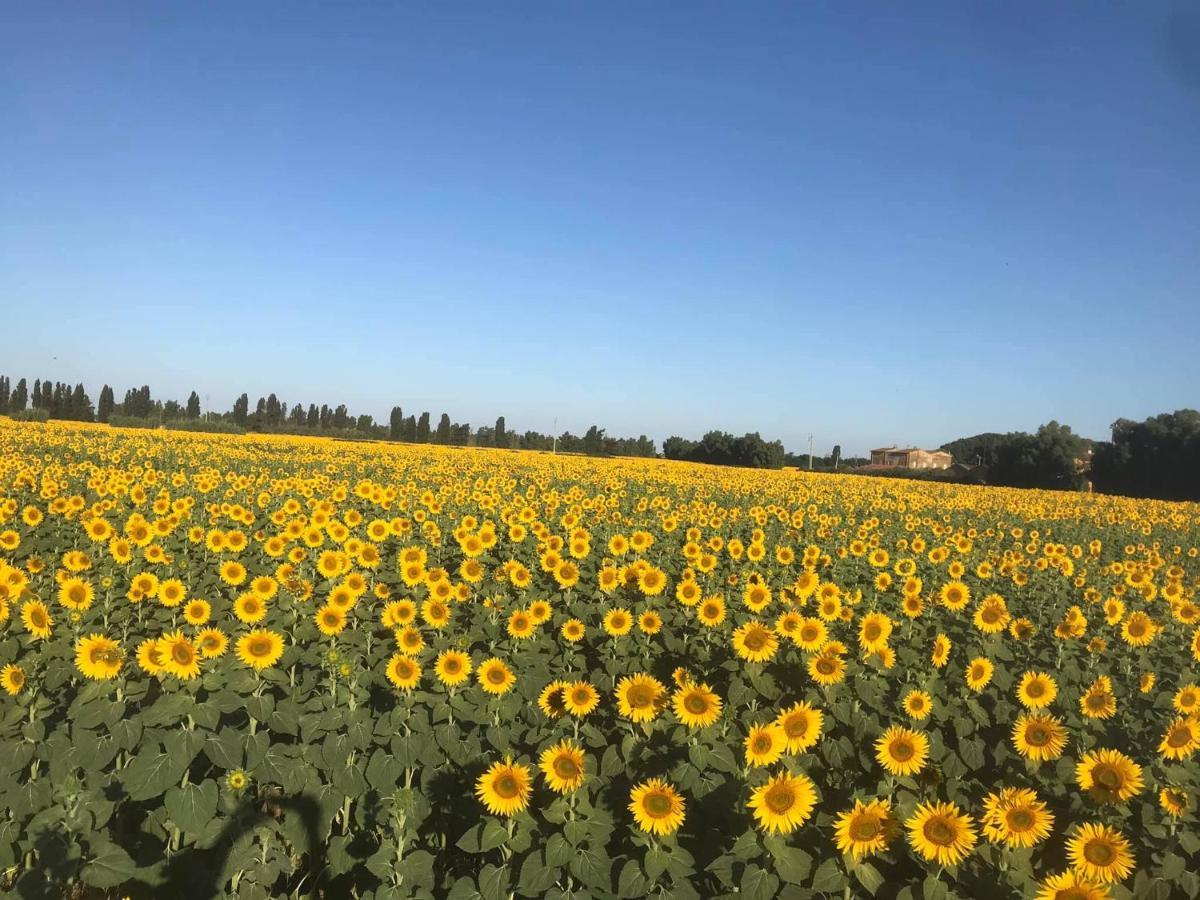 Farm stay Le Mandriane